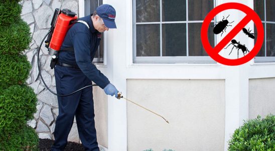 Pehlivanköy Haşere İlaçlama böcek ilaçlama ve haşere kontrolü — ilaclama-tr.com